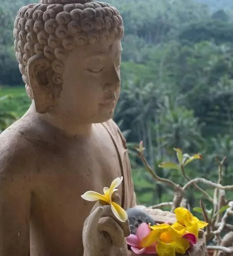 Heaven View 5 A * Ubud